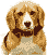 bigur.gif