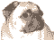 pag.gif